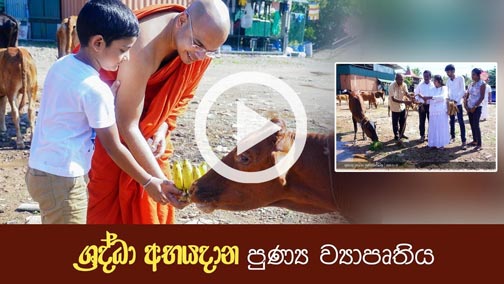 ශ්‍රද්ධා අභයදානමය පුණ්‍යකර්මය